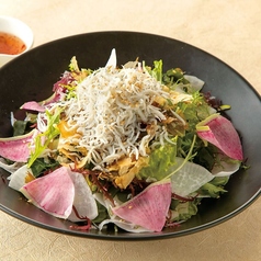 しらすと彩り大根の和風サラダ　（3～4人前）