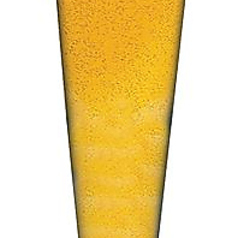 生ビール(サッポロ黒ラベル)メガ