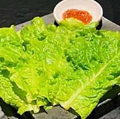 チシャ菜
