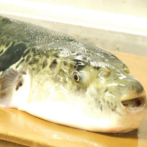づぼらや 道頓堀店のおすすめポイント2