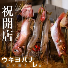 居酒屋 ウキヨバナレ GEMS川崎店の写真
