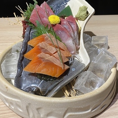 札幌駅北口酒場 めしと純米のコース写真