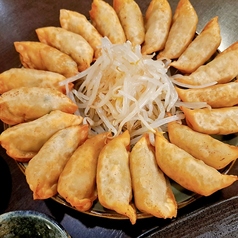 【日本3大餃子】浜松餃子 揚げ (5個、10個、15個、20個)