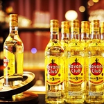 ―　カウンターに並べられたお酒のボトルが、照明の光を反射してキラキラ輝きます　―