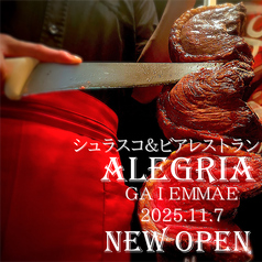 シュラスコ&ビアレストラン ALEGRIA 外苑前のコース写真