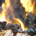 料理メニュー写真 鶏の炭火焼き