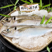 また、大分県が全国に誇るブランド鮮魚「関あじ・関さば」は佐賀関沖の豊予海峡で、大分県漁協佐賀関支店の組合員に一本釣りされています。