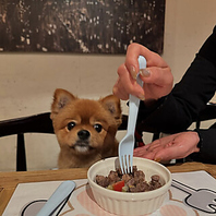 ペット連れOKです♪