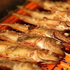 ハタハタ屋敷のコース写真