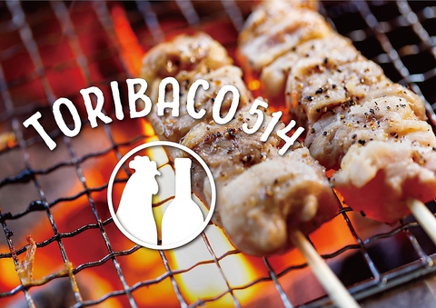 TORIBACO goR 514 wOX