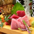 料理メニュー写真&nbsp;本まぐろ