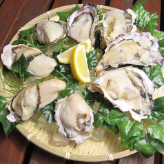広島県産牡蠣1kg