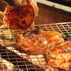 ネオ大衆 カモメヤ 谷塚店の特集写真