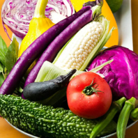 【地産野菜】地元で採れた鎌倉の旬野菜