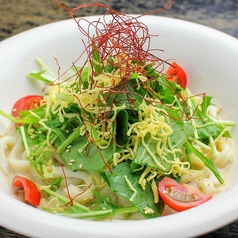 ぶっかけサラダうどん