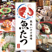 熊本いけす酒場　魚たつの写真