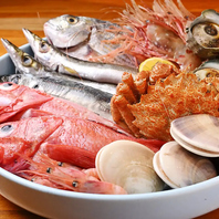 職人技光る！朝締めと熟成の絶品鮮魚