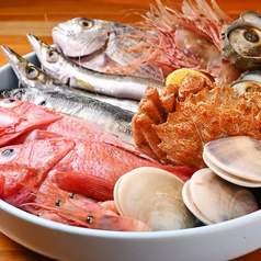 職人技光る!朝締めと熟成の絶品鮮魚