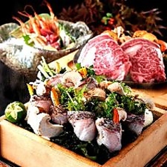 Dynamic Kitchen & Bar 燦 SUN ヒルトンプラザウエスト店のコース写真