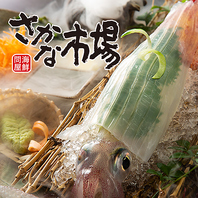 『泳ぎイカの姿造り』や鮮度抜群の活魚と寿司・郷土料理