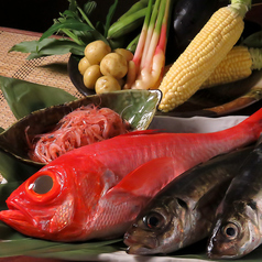 ヤマキ 魚忠 うおちゅうのおすすめ料理2