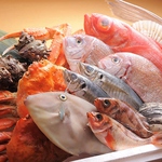 毎朝直送！水揚げされた新鮮な海の幸を取り揃え！
