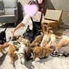 Future Pets Cat Cafe のおすすめポイント2
