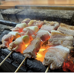 【札幌・焼き鳥】炭串焼中なかの特集写真