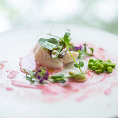 【Lunch B】お昼でもフルコース仕立てで特別な食事を。