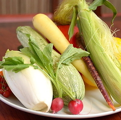 【毎日新鮮！極上イタリアン体験いただけます♪】