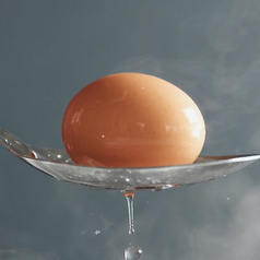 + Soft-Boiled Egg Topping / +半熟たまごトッピング