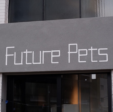 Future Pets Cat Cafe の雰囲気1