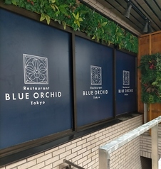 Restaurant BLUE ORCHID tokyo レストラン ブルーオーキッド トウキョウの外観1