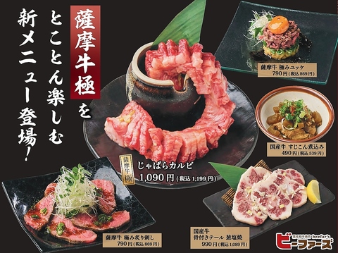 ���јa���ē� �r�[�t�@�[�Y �򍲖�q��