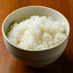 ライス(中)
