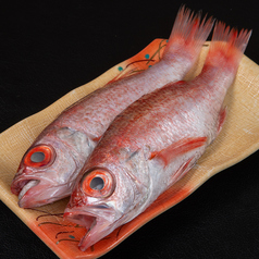 いけす料理　咲蔵の写真2