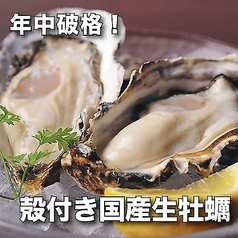 牡蠣 寿司 海鮮 土鍋ご飯 居酒屋 #カキもビールも生がスキ。天神大名店特集写真1