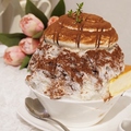 料理メニュー写真&nbsp;極上ティラミス