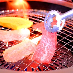 ホルモン25種を含む焼肉が食べ放題 焼肉食べ放題コース 2980円 税抜 鶴橋焼肉 焼肉 ホルモン ホットペッパーグルメ