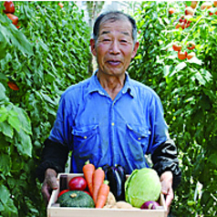 都野菜 賀茂 大阪駅店の特集写真
