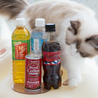 猫カフェ MIHOO 美頬 鶴橋店のおすすめポイント2