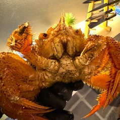 地産地消-北陸を中心とした食材を厳選-