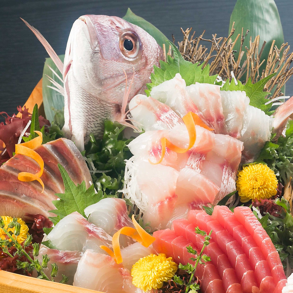 【鮮魚】毎日仕入れる新鮮な魚達。旬の鮮魚をご堪能下さい。