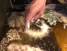 大衆天ぷら味わい鶏 とり源太 多治見駅前店のおすすめポイント1