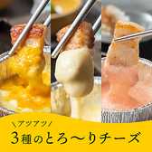 【おすすめトッピング】3種のとろ～りチーズがお肉に良く絡む♪迷ったらコレ！！