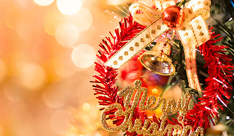 2026年12/19から12/26はXmas特別コースのみのご利用となります。二部制となります。