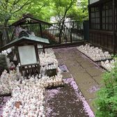 豪徳寺境内の招福観音にある招き猫にびっくり！！豪徳寺を訪れた時には是非、お越しください。