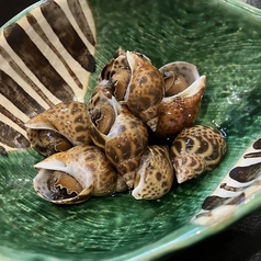 バイ貝旨煮