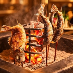 炭火が引き出す旬の旨味。本格炉端焼きと銘酒の饗宴