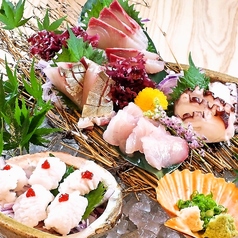 はち舎の特集写真